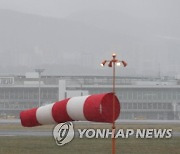 한라산 28.1㎝ 눈…항공편 결항·눈길 사고 속출