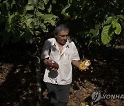 Climate Peru Indigenous Lands