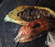 Climate Peru Indigenous Lands