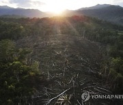 APTOPIX Climate Peru Indigenous Lands