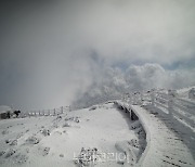 제주도 1100도로 한라산 설경버스,내년 2월 26일까지 임시 운행