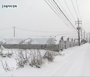 청주·보은에 10cm 폭설…주말 동장군 ‘기승’