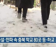 폭설·한파 속 충북 학교 80곳 등·하교 조정