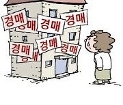 '빌라왕' 부동산 47건, 무더기 경매로 넘어가