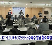 정부, KT·LGU+ 5G 28GHz 주파수 할당 취소 확정