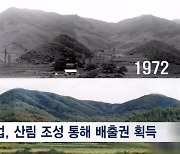 [녹색 경고등④] 나무 덜 때는 스토브·산림보호는 돈이 된다?…온난화 시대의 경제