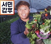 ‘서민갑부’ 쌈 채소로 연 매출 10억 달성 비법은?