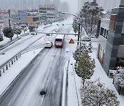 눈 안오기로 유명한 여수 5cm 적설량…10년 만에 함박눈