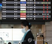 제주행 항공기 줄줄이 결항