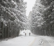 설국 속으로