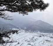 서천에 30㎝ 폭설…초등학교 전체 휴교·원격수업