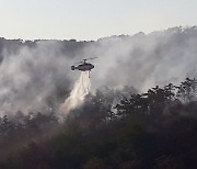 "대형 산불 함께 막자"…울산 동·북구, 공동대응·합동훈련