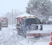 눈 쌓인 서천군 분주한 제설작업