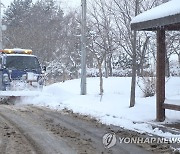 눈 쌓인 서천군 분주한 제설작업