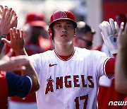 '내년 FA' 오타니의 가치는?…美 에이전트들 "MLB 첫 5억달러 돌파"