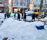 폭설에 제설작업하는 광주 자율방재단