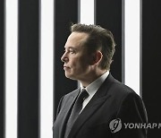 `양치기 소년` 된 머스크?…주식 안팔겠다는데도 연일 주가 하락세