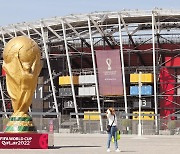 한국과 월드컵 예선 치를까…러시아, 아시아축구연맹 가입 검토