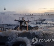 동해안에 너울성 파도 덮쳐…삼척항 정박 어선 10척 전복·파손