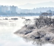 한파가 빚은 풍경