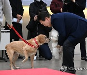 은퇴 안내견 '새롬이'에게 '써니' 소개하는 윤석열 대통령