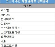 코스닥 주간 개인 순매도 1위 '에스엠'