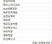 코스닥 주간 외인 순매수 1위 '엘앤에프'