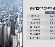 '서울 2주택자·부부 공동' 종부세 부담, 내년에 큰 폭 줄어