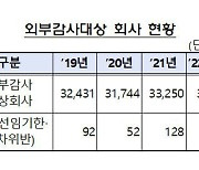 내년 대형비상장사 범위 축소된다…“감사인 선임제도 및 유의사항 준수해야”