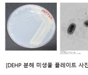 “환경호르몬 성분 분해하는 담수미생물 5종 발견”