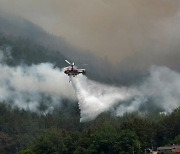 강릉서 주택화재 산불로 번져…1시간여 만에 진화