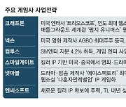 크래프톤, 美제작사에 투자 …'엔터'로 새 동력 찾는다