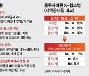 "세계가 뛰는데 한국은 걷는 셈"…반도체 위기 외면한 국회