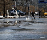 판교 상수도관 파열로 도로에 가득찬 물