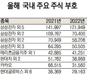 '개미 피눈물' 카카오, 김범수 재산도 1년새 3.4조원 증발