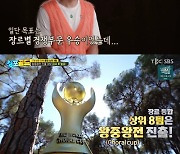 '싱포골드' 왕중왕전 진출 어느 팀 될까.."정신 바짝 차려"[별별TV]