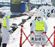 경북·경남·전남 등서 AI…농장 확진 53건으로 늘어