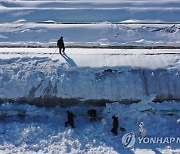 전남 폭설 피해 '눈덩이'…시설 172동 11억6천만원 피해(종합2보)