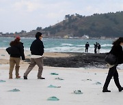 [오늘의 날씨]제주(26일, 월)…대체로 흐림, 낮 최고 10도