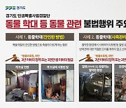 잔인하게 개 도살하고, 허가 없이 경매 거래…경기, 동물학대 11개소 적발