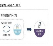 "내계좌 지급정지 서비스로 보이스피싱 피해 사전 방지"