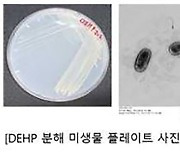 플라스틱 가소제 분해 능력 뛰어난 담수 미생물 발견