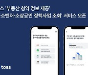 "부동산 청약·소상공인 지원, 토스서 확인하세요"