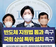 "반도체 미래 없어졌다" 與특위 민간위원들 'K칩스법' 항의 성명