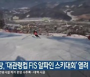 평창, ‘대관령컵 FIS 알파인 스키대회’ 열려