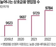 "고령층 집중 공략"…상호금융, 지점 늘린다