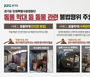 경기도 특사경, 잔인한 개 도살 및 무허가 반려동물 번식 '불법업체 적발'