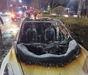 Fire breaks out in moving Tesla on road in Busan