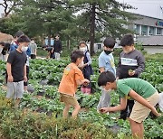 ‘전북 농촌유학’ 안착… 대상·학교·기간 확대 추진