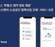 토스, '부동산 청약 정보' 조회 서비스 개설